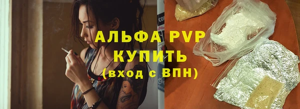 прущий лед Инсар