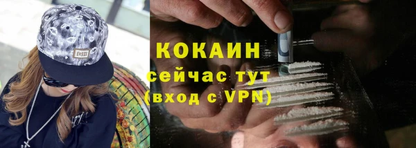 прущий лед Инсар